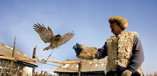 长白山老林的满族猎鹰人:祖孙世代养鹰驯鹰