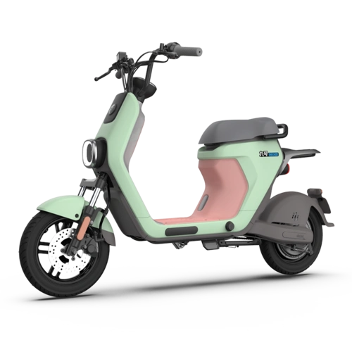 电动小型自行车电动车锂电池国标电瓶车九号