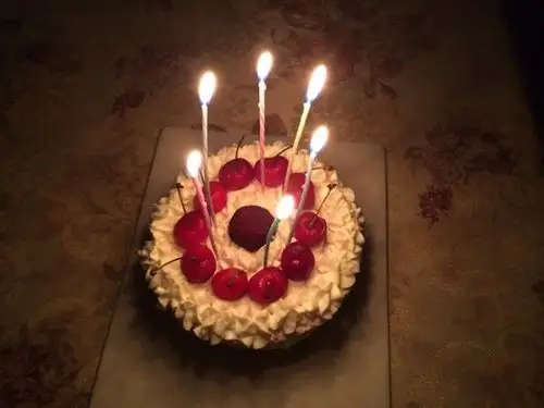 青青草-69做的水果生日蛋糕