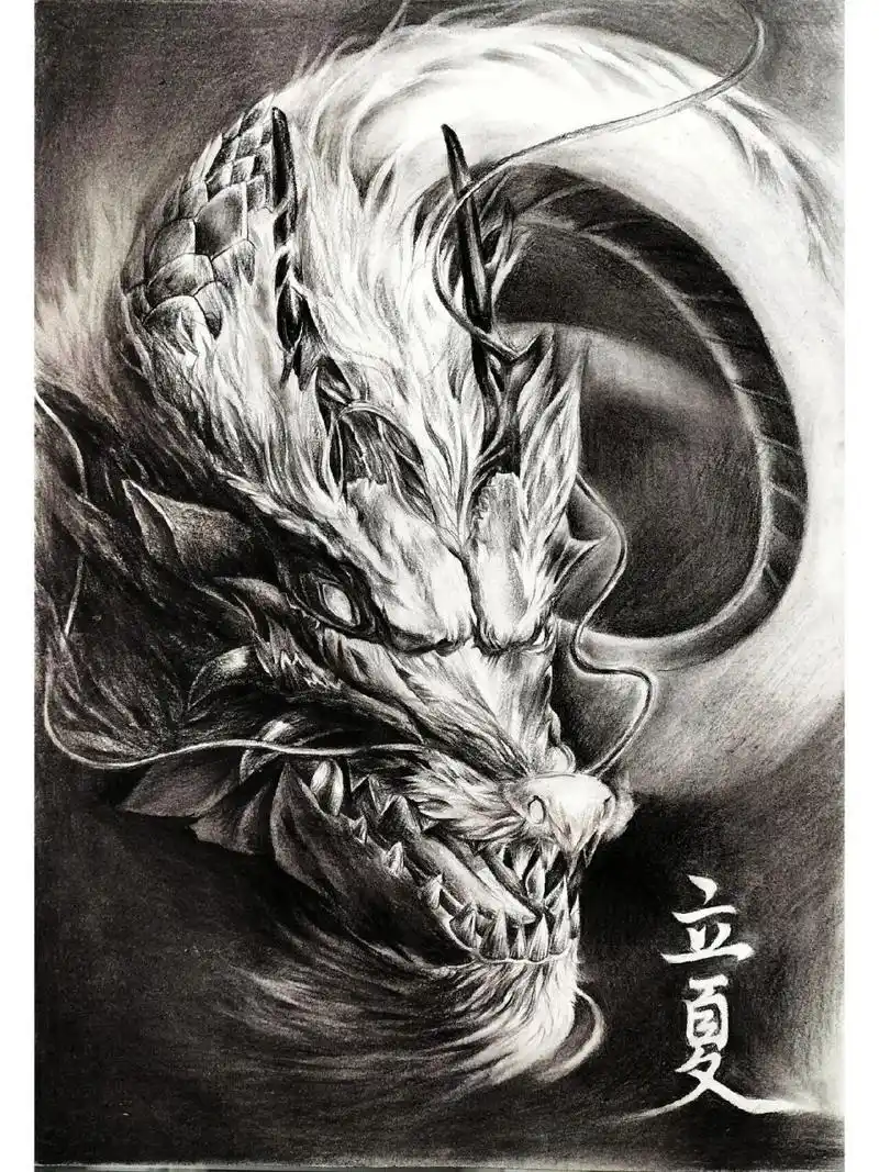 十二生肖之——龙 炭笔素描