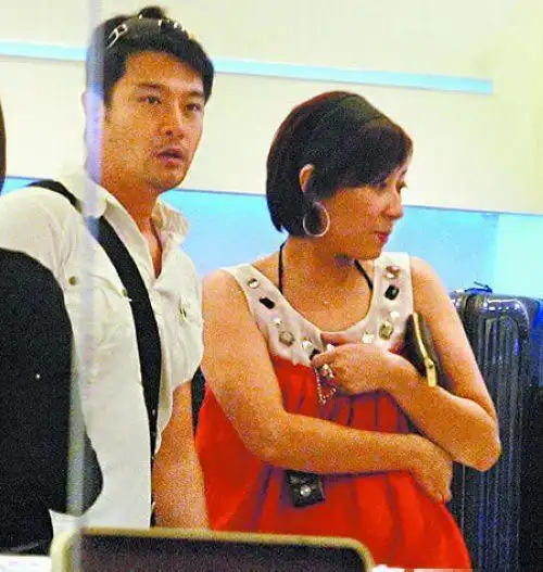 徐峥夏雨张学友倪震黄维德 出轨偷情却没离婚的明星(组图)