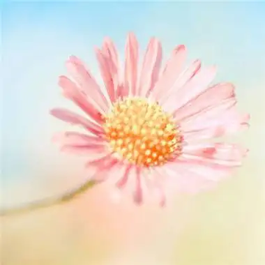 2022微信最吉利的好看头像图片 寓意好运的微信头像大全-微信头像