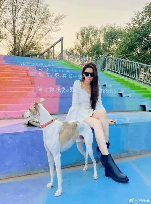 刘亦菲下午茶随拍九宫格plog 新鲜绝美的神仙姐姐