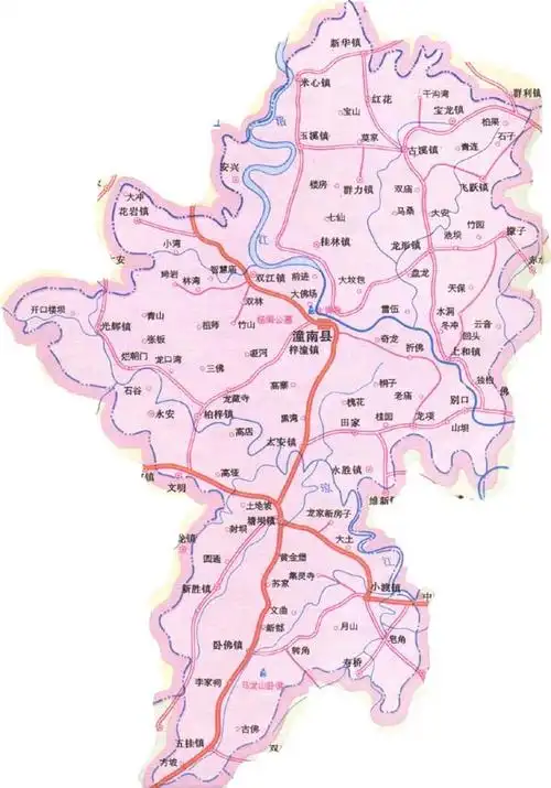 潼南组建成立全市首个无人机植保专业服务队