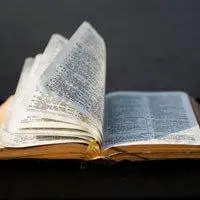 适合做头像的书本图片_微信头像图片大全