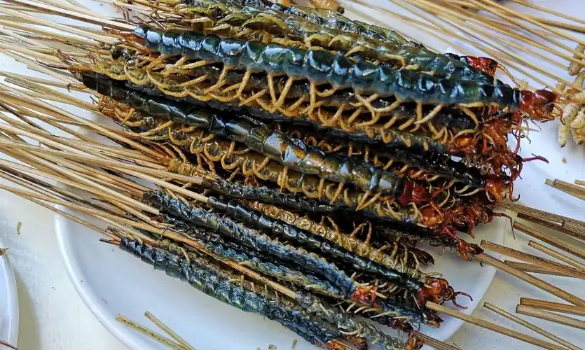 我还看见了15元一条的油炸蜈蚣虫!但是我不敢吃.