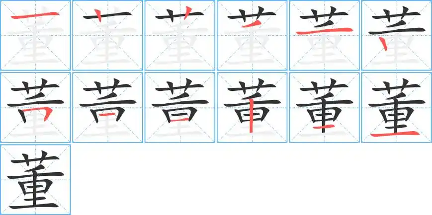 董字笔画笔顺董字怎么写