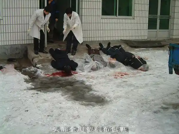 mfk800的博客 - mfk800 - 网易博客