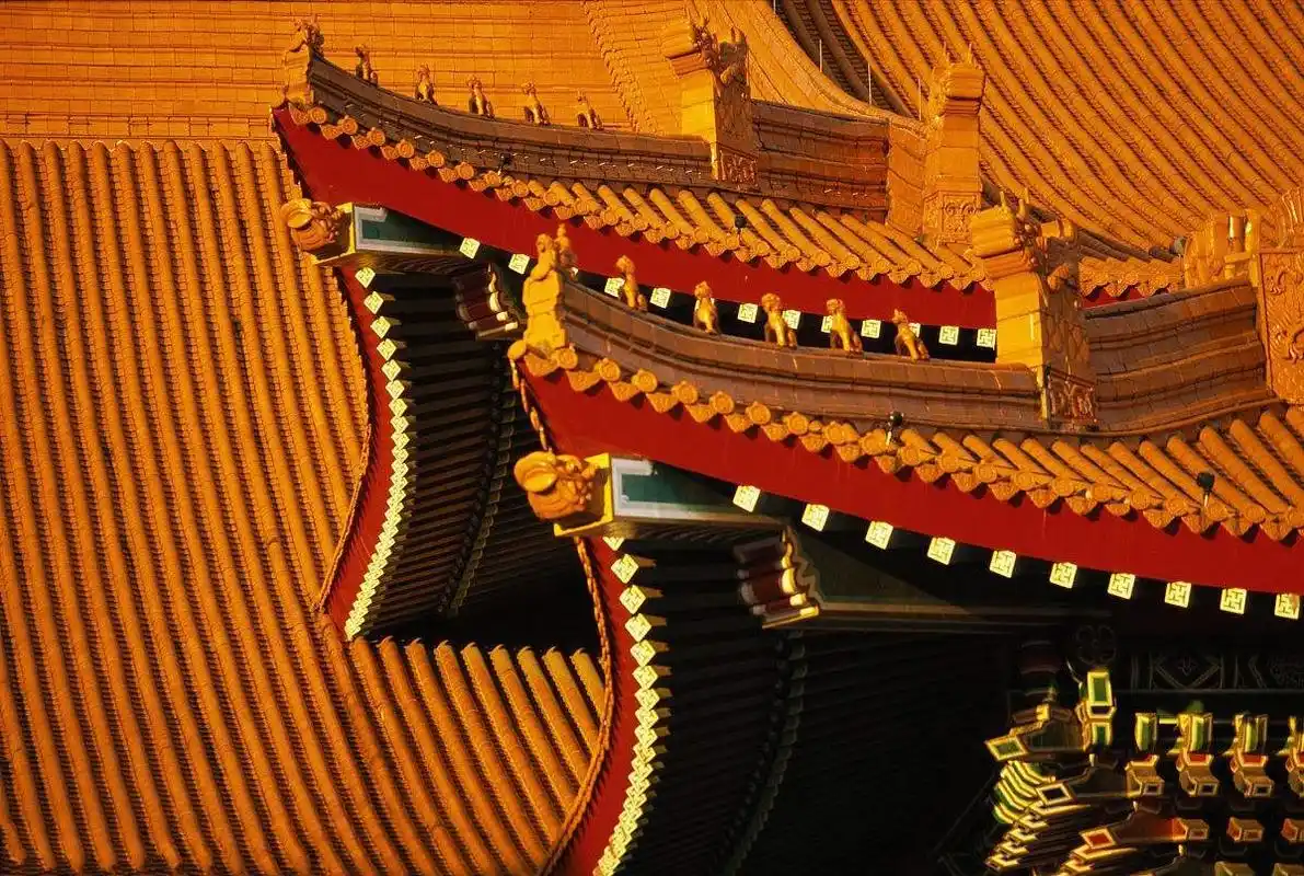 故宫600年屋顶从没有鸟屎:不敢在皇帝头顶上拉屎?鸟:我站不住