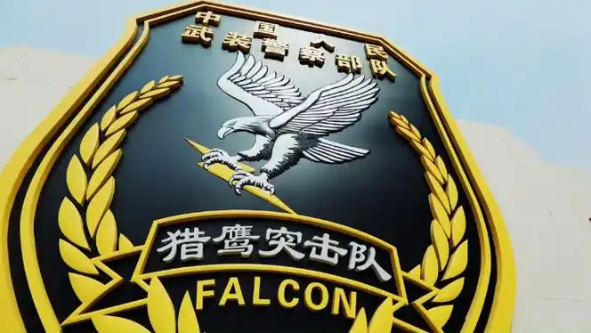 国家级反恐拳头部队猎鹰突击队