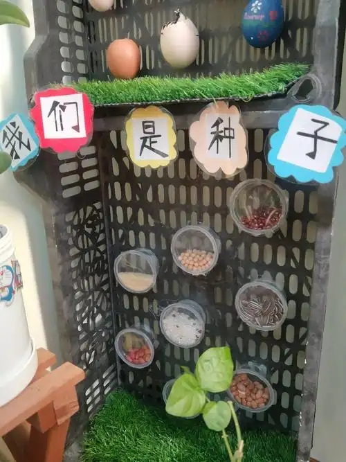 "一隅小角,遇见美好"爱福瑞幼儿园植物角创设评比活动