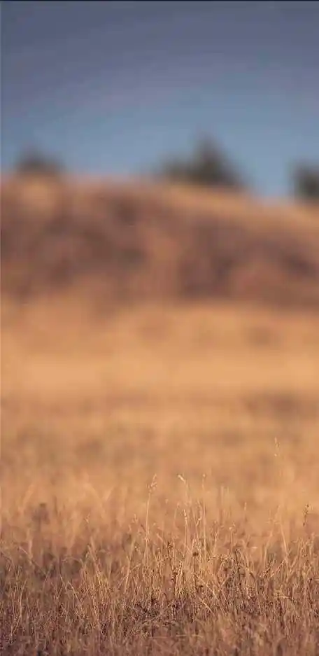 1080p蓝光竖屏壁纸图片