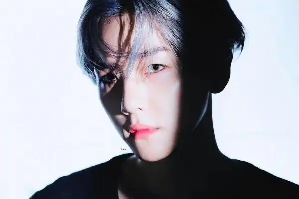 边伯贤病娇先生