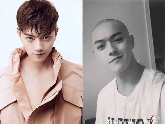 吴亦凡李易峰霍建华许凯 男星光头竟然更帅气!(4)