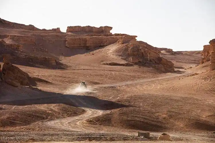 2020年,24岁女博士孤身闯入无人区,被发现时只剩一具残骸