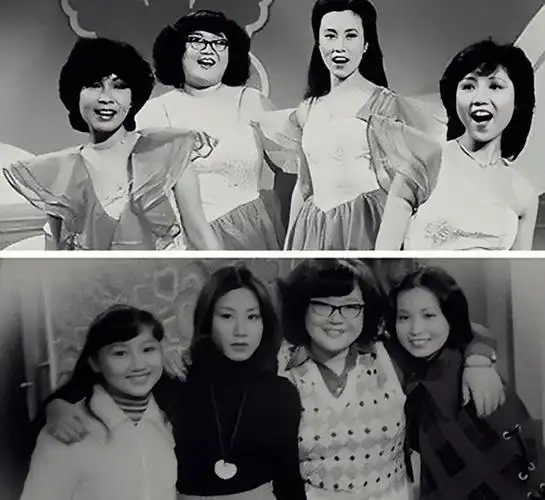 这一年邵逸夫和好友共同创办无线电视台,而沈殿霞和汪明荃等人成为开