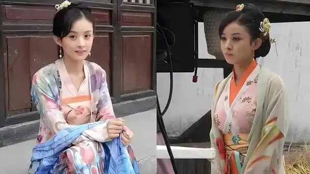 1月13日,狗仔刘大锤突然爆料赵丽颖孕期事件.