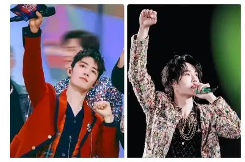 肖战王一博舞蹈动作相似,看到结尾粉丝尖叫:这个相同手势曾见过