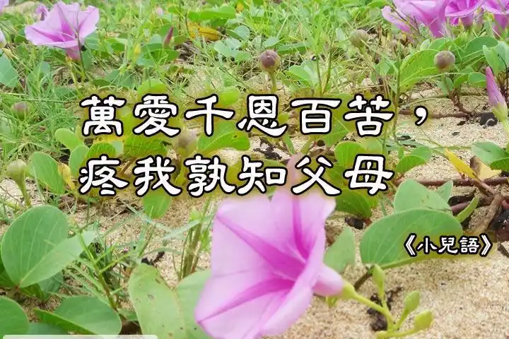 万爱千恩百苦,疼我孰知父母.--小儿语