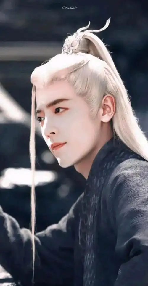 古装剧里男明星的白发造型你认为谁最能驾驭得了白发造型