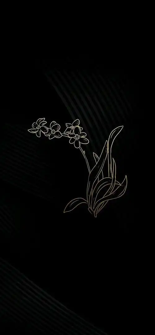 壁纸@黑金系列壁纸