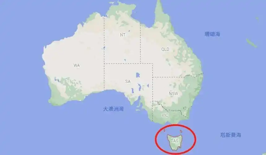 晖宝走四方汪轶洋塔斯马尼亚岛夜访归巢小企鹅