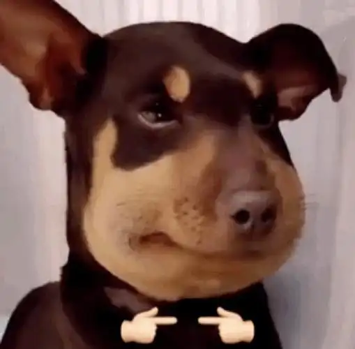 对手指的表情包