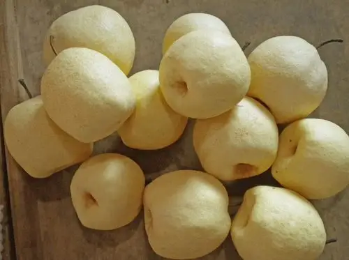 天山雪梨 新疆天山雪梨香梨砀山红香酥脆皮梨 精品大果 12斤
