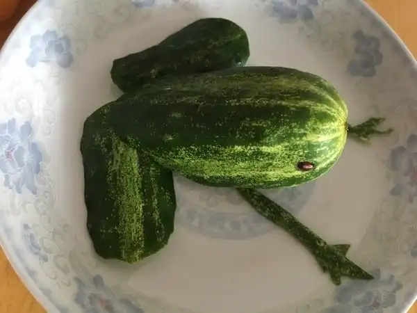 米-米-米做的蔬果创意黄瓜青蛙