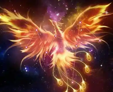 十二星座专属凤凰坐骑(12星座专属坐骑各自是什么)-风水人