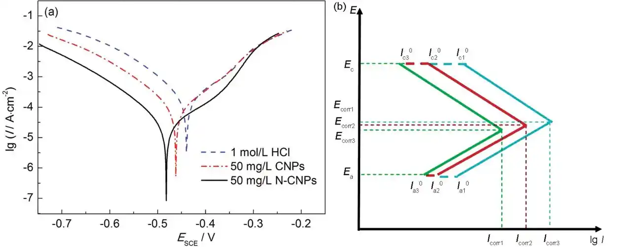 图5  q235钢在3种溶液中的动电位极化曲线及其对应