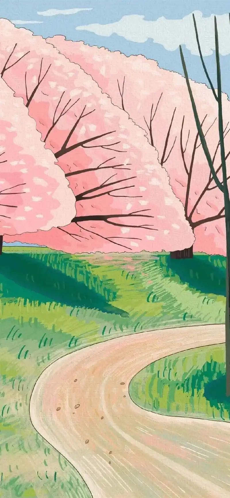 今日份壁纸#高清壁纸 #壁纸 #手机壁纸 #清新 #手绘 每 - 抖音