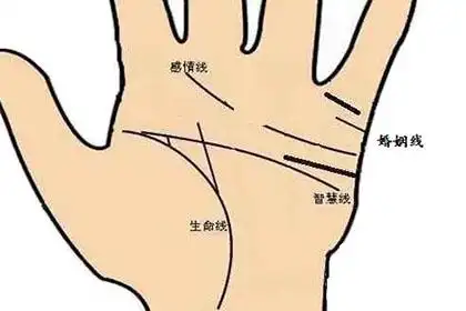 手相感情线断开代表什么意思?