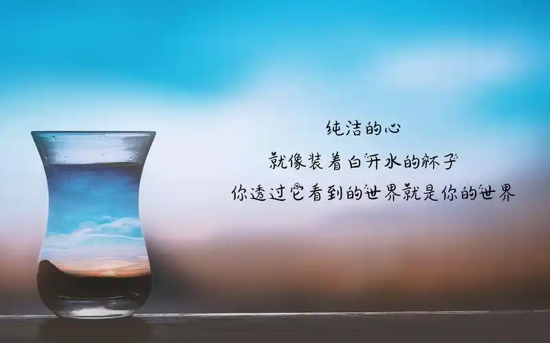 唯美静物图文创意桌面壁纸