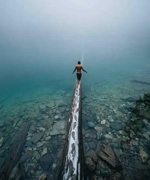 人生是一条窄窄的独木桥,每个人都走得小心翼翼