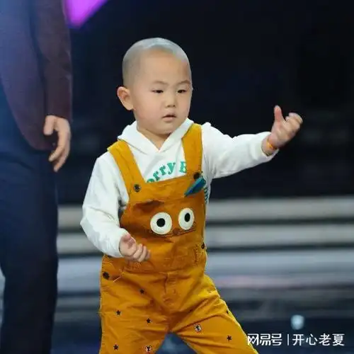 童星|王迅|张艺兴|科学家|春秋战国|春晚主持人阵容_网易订阅