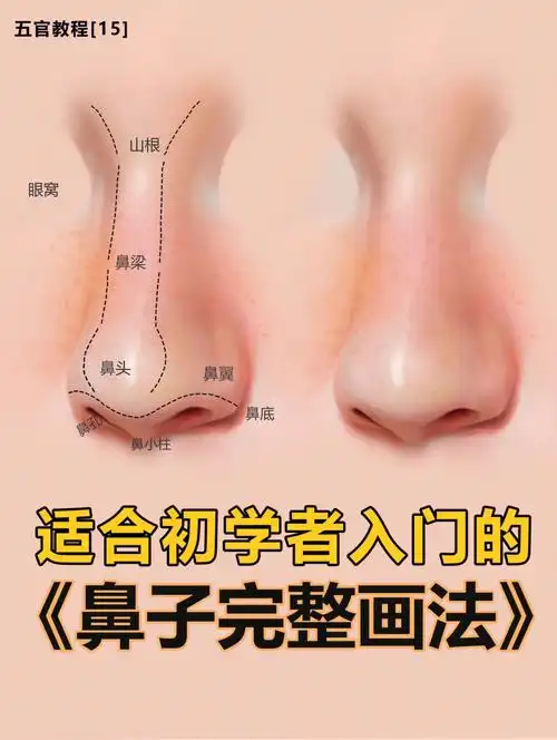 适合初学者入门的鼻子画法附笔刷步骤很全