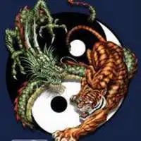 个性霸气龙虎头像龙虎图纹微信头像点击鼠标右键下载