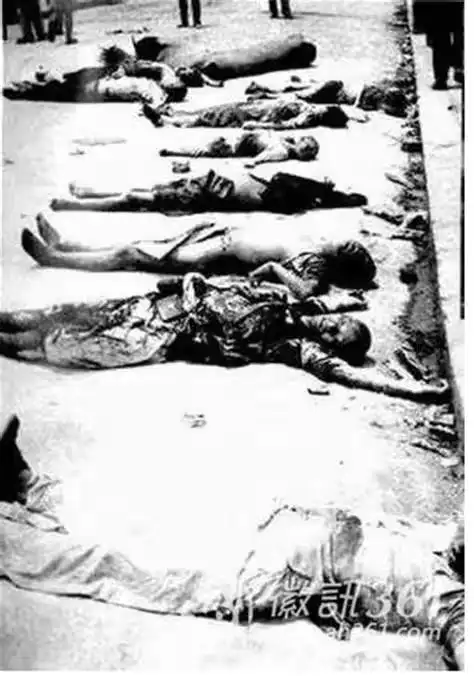 历史启示录广告设计与制作王泽锴2018120242