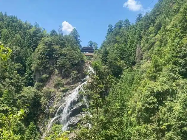 浙江自带仙气的景区,有"云中桃园"美誉,值得一去!