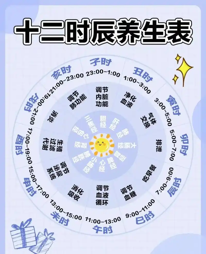 十二时辰养生表中医科学养生按时作息