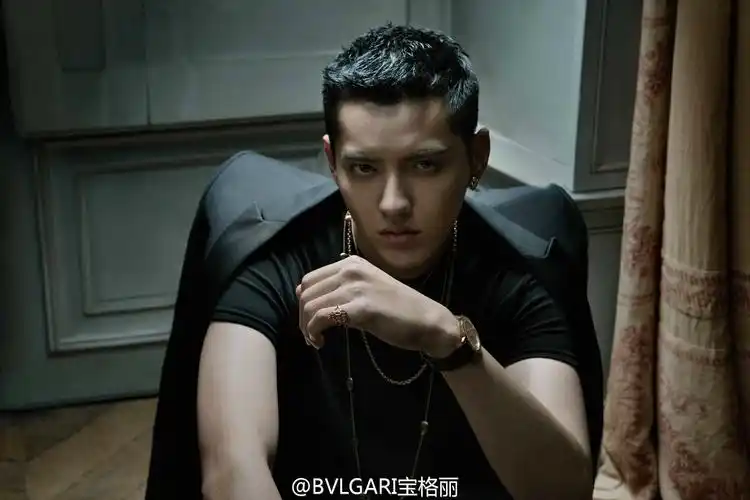 经典亦有新生# #吴亦凡代言宝格丽