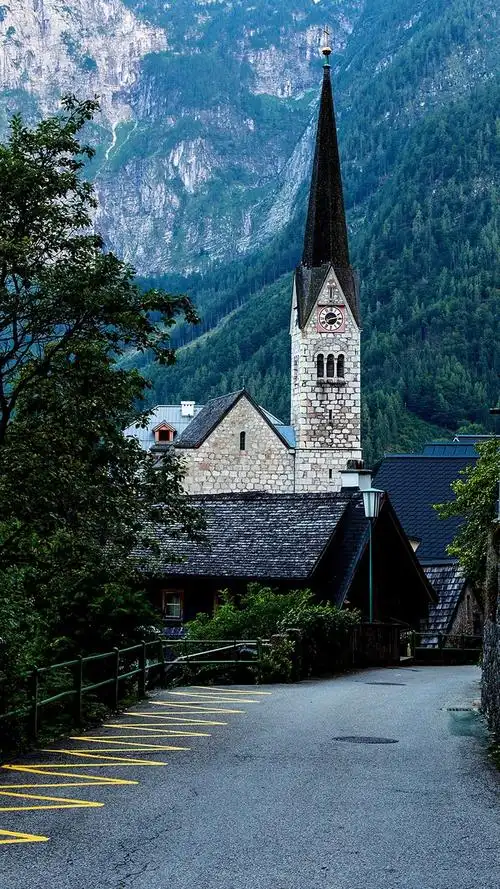 茂盛从林的庄园,高清图片,手机壁纸