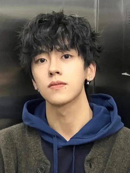 2022男士韩式发型推荐蝴蝶烫03