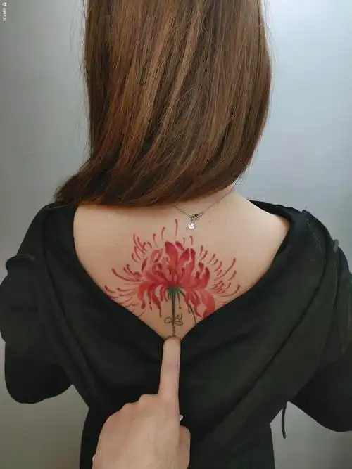 彼岸花_纹身图案手稿图片_街道口吕龙文身馆的纹身作品集