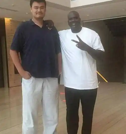 奥尼尔身高对比小鸟依人屈居五位一人来自中国