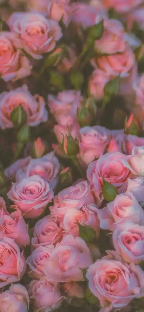 高级感ins风壁纸 676767