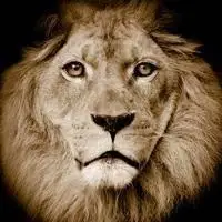 八五班霸气qq群头像_微信头像图片大全