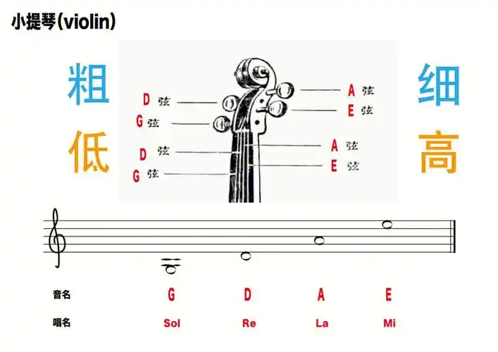 小提琴一把位无升降指法图解