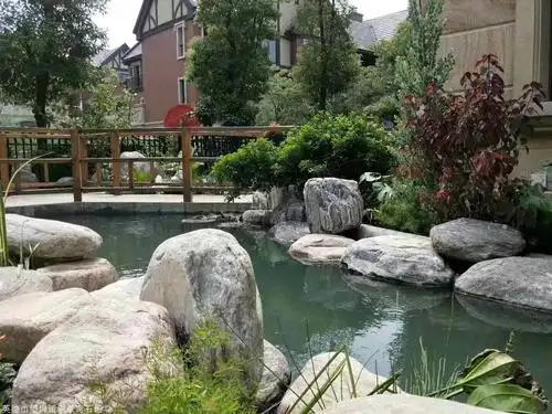 大型黄腊石刻字石,西安深圳湖岸水系黄蜡石,景观石直销批发